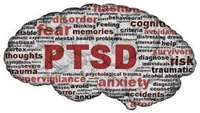 نقش محور HPA و گیرنده های بتا-آدرنرژیک در اثرات درمانی مرفین بر روی PTSD