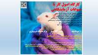 برگزاری کارگاه اصول کار با حیوانات آزمایشگاهی در مرکز تحقیقات فیزیولوژی