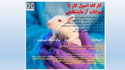 برگزاری کارگاه اصول کار با حیوانات آزمایشگاهی در مرکز تحقیقات فیزیولوژی